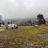 Spațiu industrial de vânzare Frasin - 208913SVI - Poza 1 din 13 | BLITZ Suceava | Poza10
