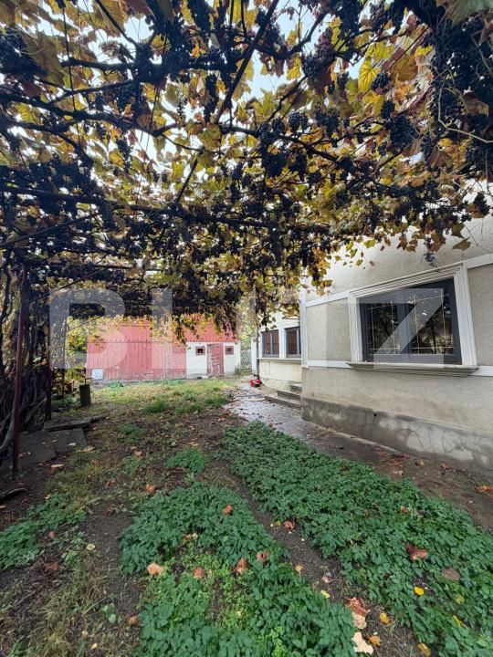 Casa de vânzare 5 camere Radauti - 208962CV | BLITZ Suceava | Poza5