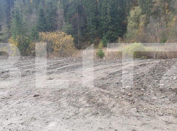 Teren de vânzare Vatra Dornei - 209290TV | BLITZ Suceava | Poza3