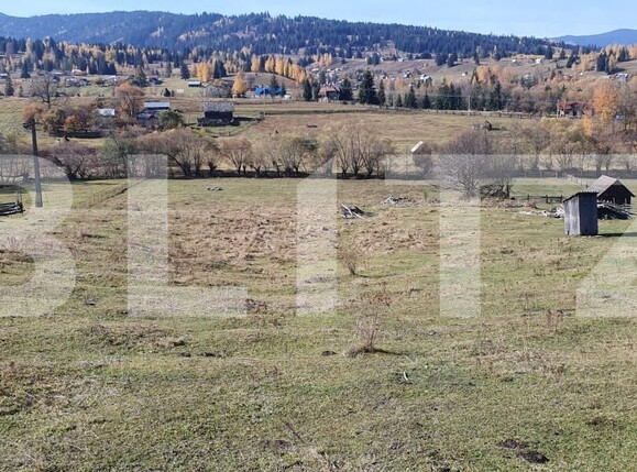 Teren de vânzare Panaci - 209400TV | BLITZ Suceava | Poza2