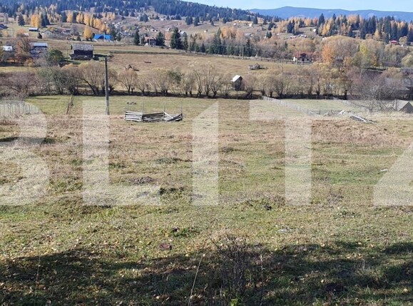 Teren de vânzare Panaci - 209400TV | BLITZ Suceava | Poza1