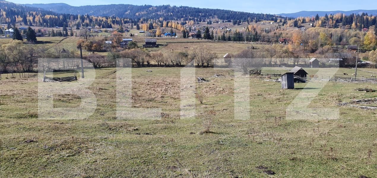 Teren de vânzare Panaci - 209400TV | BLITZ Suceava | Poza2