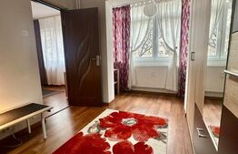 Apartament 2 camere, 45 mp, zona George Enescu