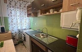 Apartament 2 camere, 45 mp, zona George Enescu