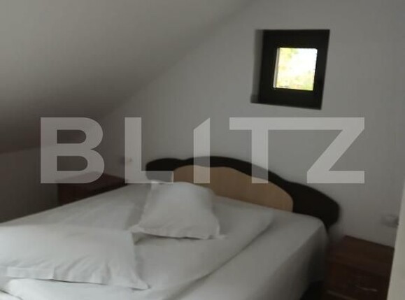 Spațiu comercial de vânzare Gura Humorului - 209524SVC | BLITZ Suceava | Poza18