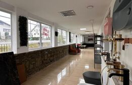 Spațiu comercial de închiriat Radauti, Suceava