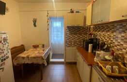 Apartament 2 camere, 48 mp, cu boxa, cartier Burdujeni