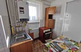 Apartament 3 camere, 47 mp, mobilat/utilat, zona Belvedere