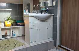 Apartament 2 camere, mobilat, 48 mp, zona George Enescu