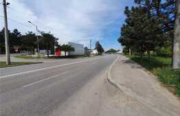 Spatiu comercial, 100 mp, zona Traian Vuia