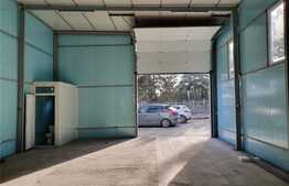 Spatiu comercial, 100 mp, zona Traian Vuia