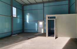 Spatiu comercial, 100 mp, zona Traian Vuia