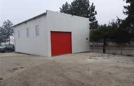 Spatiu comercial, 100 mp, zona Traian Vuia