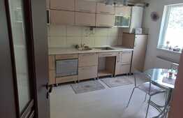  Casa, 4 camere, 120 mp, zona Sfantul Ilie