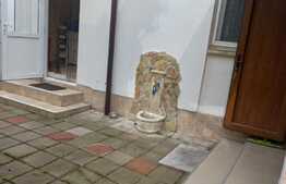 Casa individuala, zona Ultracentrala ,110 mp utili si 300 mp teren