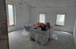 Casa individuala, 5 camere, 250mp teren,  zona Ultracentrala