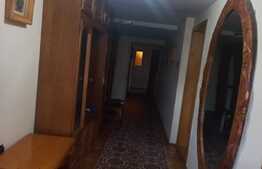 Casa individuala 860 mp utili, 775 mp teren, zona Zamca