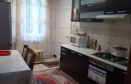 Casa individuala, 102 mp, 660 mp teren, zona Gara Burdujeni 