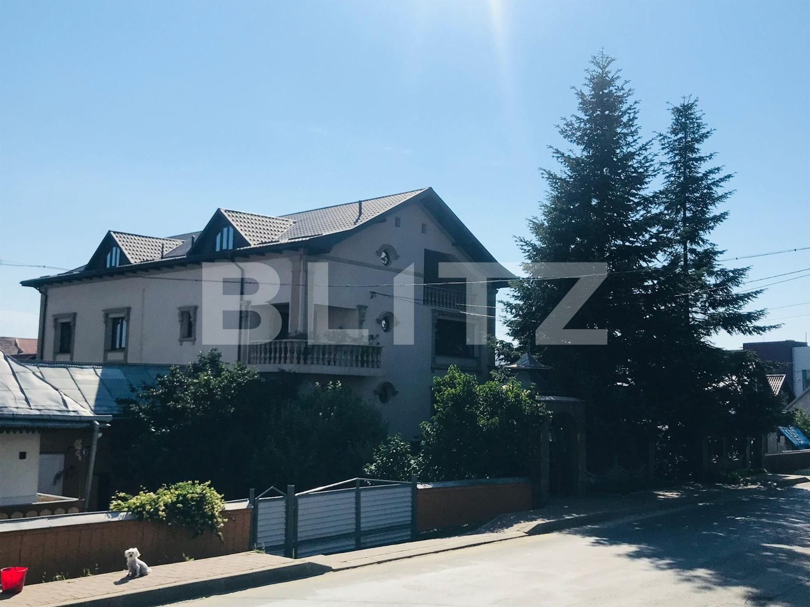 Spațiu comercial de închiriat Obcini - 95001SIC | BLITZ Suceava | Poza2