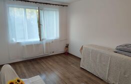 Garsoniera, 23 mp, etaj intermediar, zona Gara Burdujeni