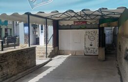 Cladire cu destinatii multiple, 250 mp, zona Burdujeni