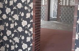 Cladire cu destinatii multiple, 250 mp, zona Burdujeni