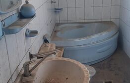 Cladire cu destinatii multiple, 250 mp, zona Burdujeni