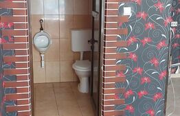 Cladire cu destinatii multiple, 250 mp, zona Burdujeni