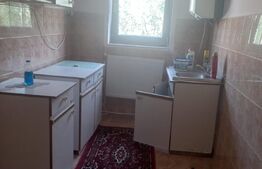 Casa individuala de 174 mp, 800mp teren, zona Burdujeni sat