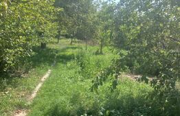 Casa individuala de 174 mp, 800mp teren, zona Burdujeni sat