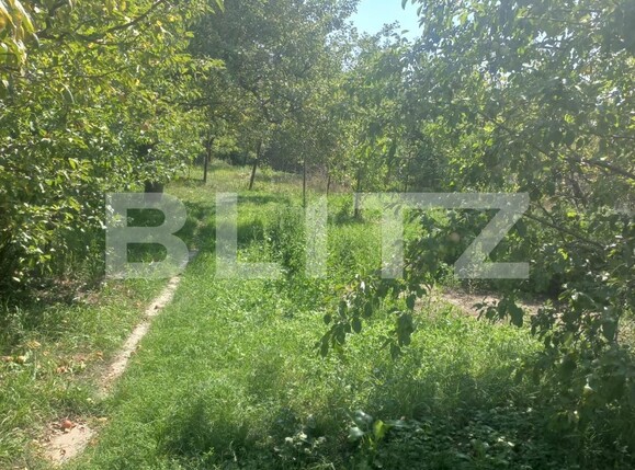 Casa de vânzare 3 camere Burdujeni - 95146CV | BLITZ Suceava | Poza6