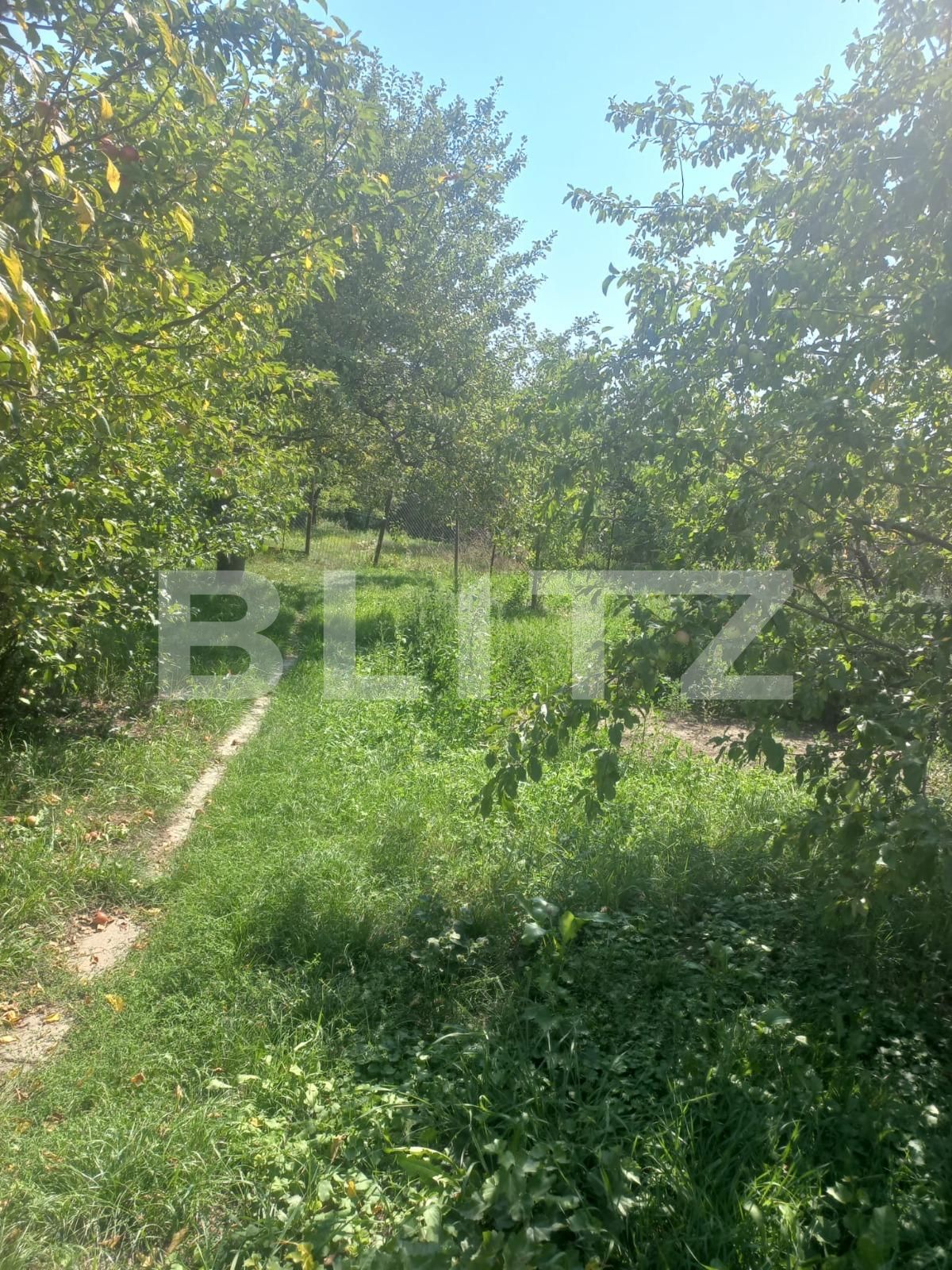 Casa de vânzare 3 camere Burdujeni - 95146CV | BLITZ Suceava | Poza6