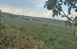 Casa din lemn, 84 mp, suprafata teren 6000mp, zona Itcani