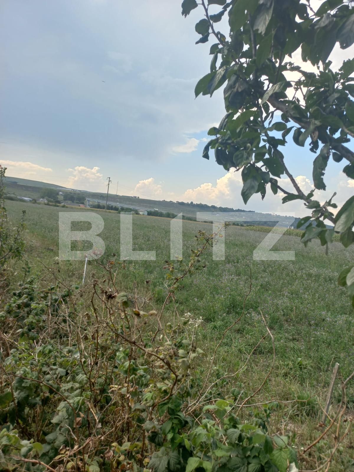 Casa de vânzare 2 camere Itcani - 95149CV | BLITZ Suceava | Poza4