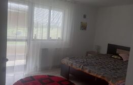 Casa individuala,190 mp, 600 mp teren, zona Burdujeni sat