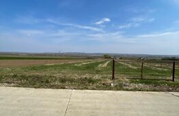 Teren agriol 11550 mp, livada nuci, Musenita