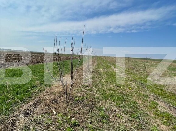 Teren de vânzare Nord - 95587TV | BLITZ Suceava | Poza3
