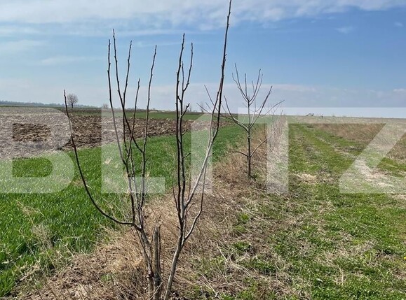 Teren de vânzare Nord - 95587TV | BLITZ Suceava | Poza1