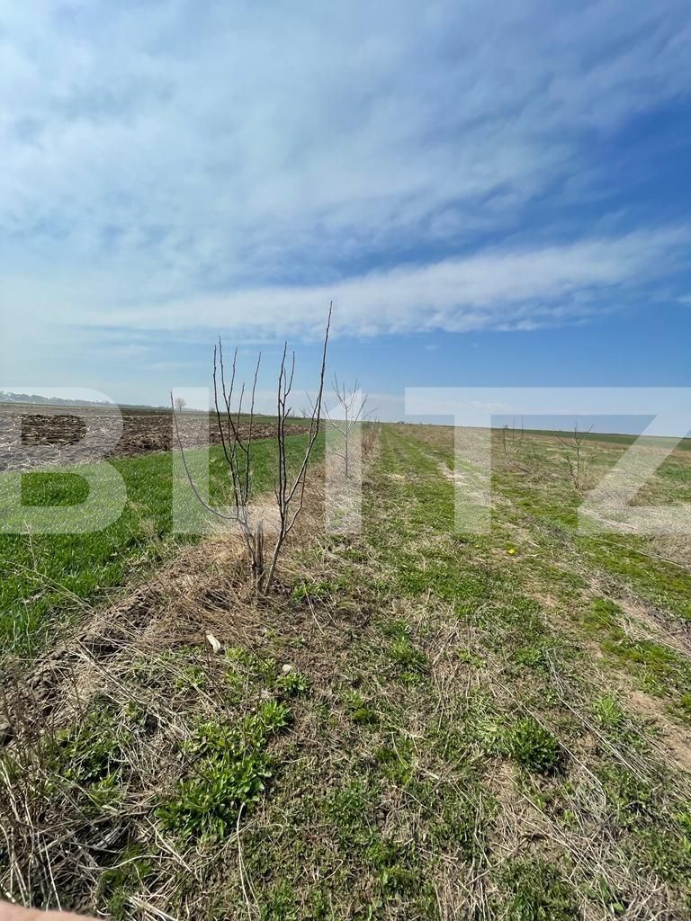 Teren de vânzare Nord - 95587TV | BLITZ Suceava | Poza3