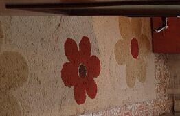 Apartament cu 3 camere, spațios, 70 mp,  zona Catedralei