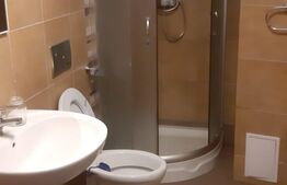 Garsoniera/Birou, 1 cam,  50 mp, zona Ultracentrala