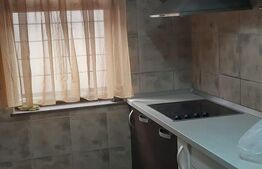 Garsoniera/Birou, 1 cam,  50 mp, zona Ultracentrala