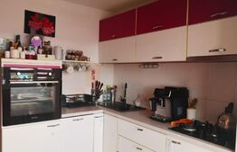 Apartament 3 camere, mobilat și utilat, 69 mp, cartier Obcini