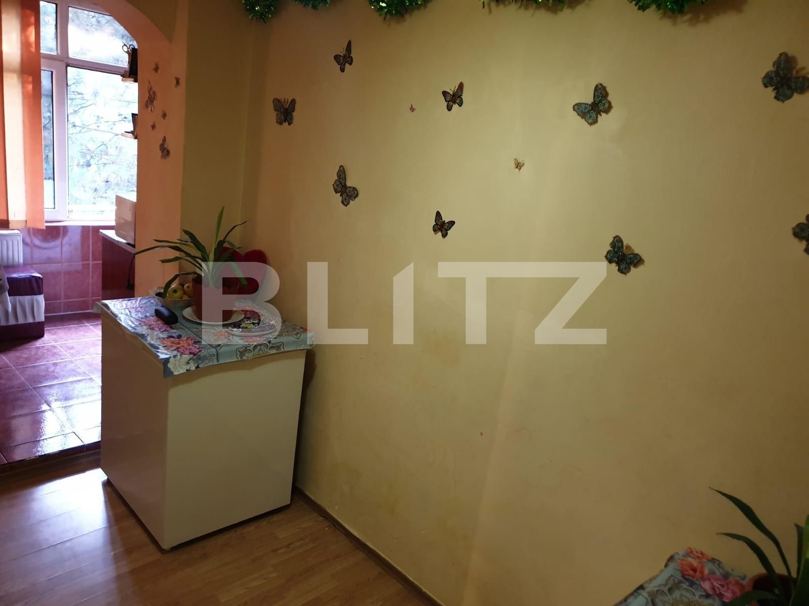 Garsonieră de vânzare Burdujeni - 95911AV | BLITZ Suceava | Poza4