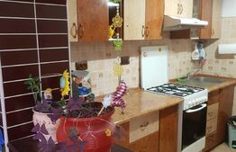 Apartament 2 camere, 50 mp, mobilat/utilat, zona Scolii Miron Costin