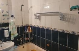 Apartament 2 camere, 50 mp, mobilat/utilat, zona Scolii Miron Costin