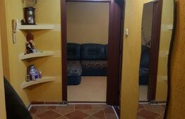 Apartament 2 camere, 50 mp, mobilat/utilat, zona Scolii Miron Costin