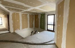 Spatiu comercial, 227 mp, semifinisat, zona Scheia