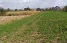 Teren Intravilan 2.900mp, zona Lisaura