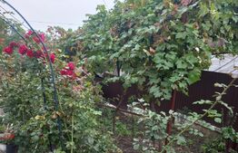 Oportunitate!  3 Case, zona Serpentine